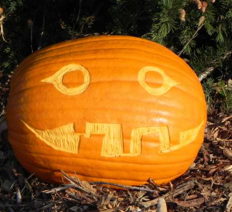 Wide Smile, Nipomo Pumpkin Patch, best carving idea